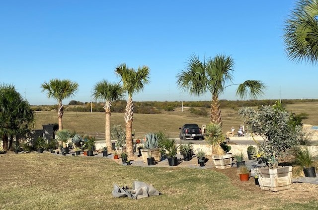 Commercial Landscaping Service in Plano