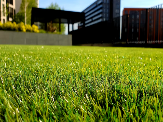 5 Essential Questions You Must Ask Before Hiring A Company For Lawn Maintenance Near You